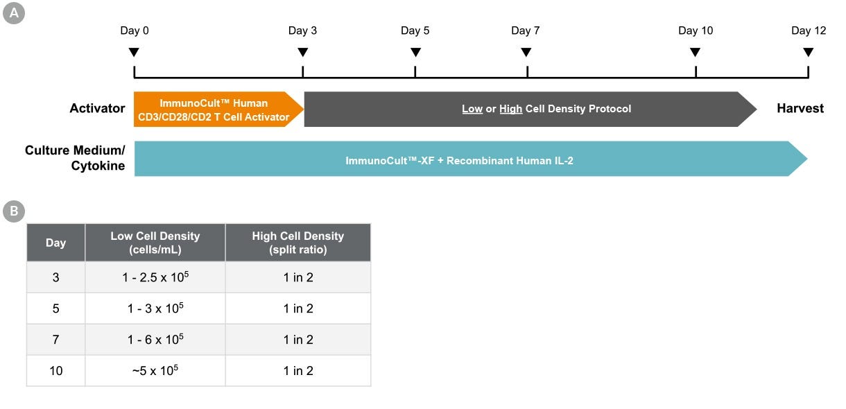 Culture Protocol for T Cell Activation And Expansion with ImmunoCult™-XF