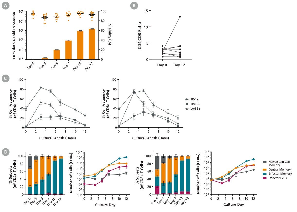 ImmunoCult™ Reagents Result in Robust T Cell Expansion Under Low Cell Density Culture Conditions