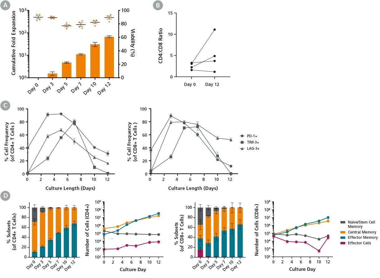 ImmunoCult™ Reagents Support T Cell Activation and Expansion Following High Cell Density Protocol