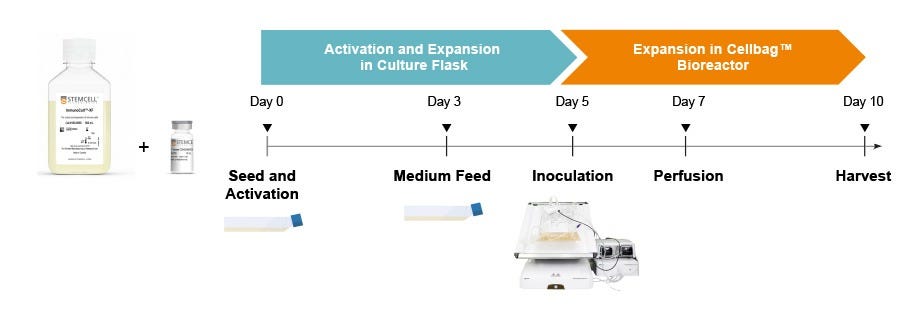 Culture Protocol for Expansion of T Cells with ImmunoCult™ Reagents in the Xuri™ Cell Expansion System W25