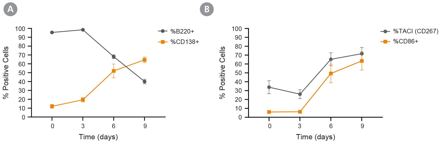 Maturation of Mouse B Cells with ImmunoCult™ Mouse B Cell Expansion Kit