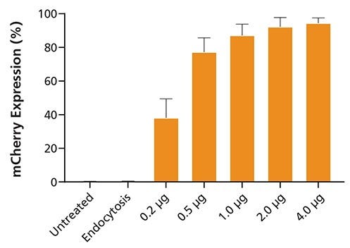 mCherry mRNA Delivery to Isolated Human Peripheral Blood NK Cells Using CellPore™ 