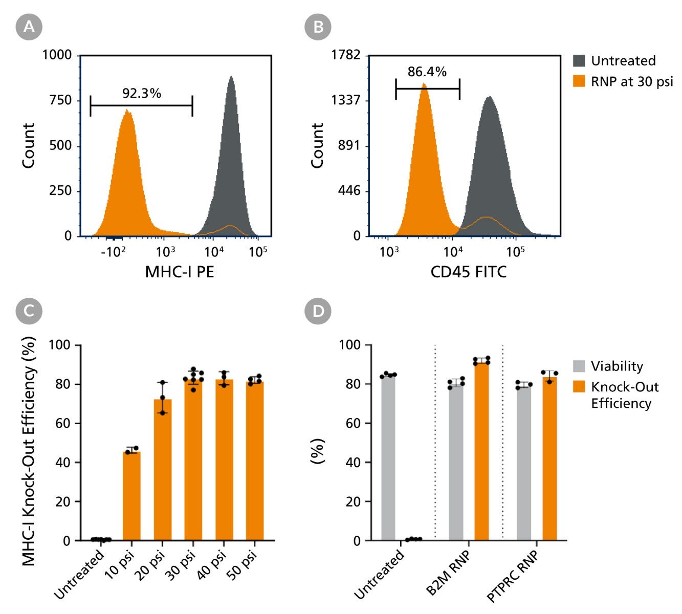 The CellPore™ Transfection System Enables Efficient Gene Knock-Out in CD34+ HSPCs