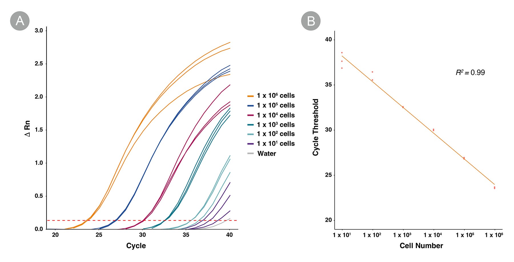 Results from a DNA-based qPCR assay with primers targeted to a non-genic region of chromosome 4 demonstrate that, DNA is detectable in extractions with a starting cell input of 10 cells and up to 1 x 10^6 cells, using the EasySep™ Total Nucleic Acid Extraction Kit.