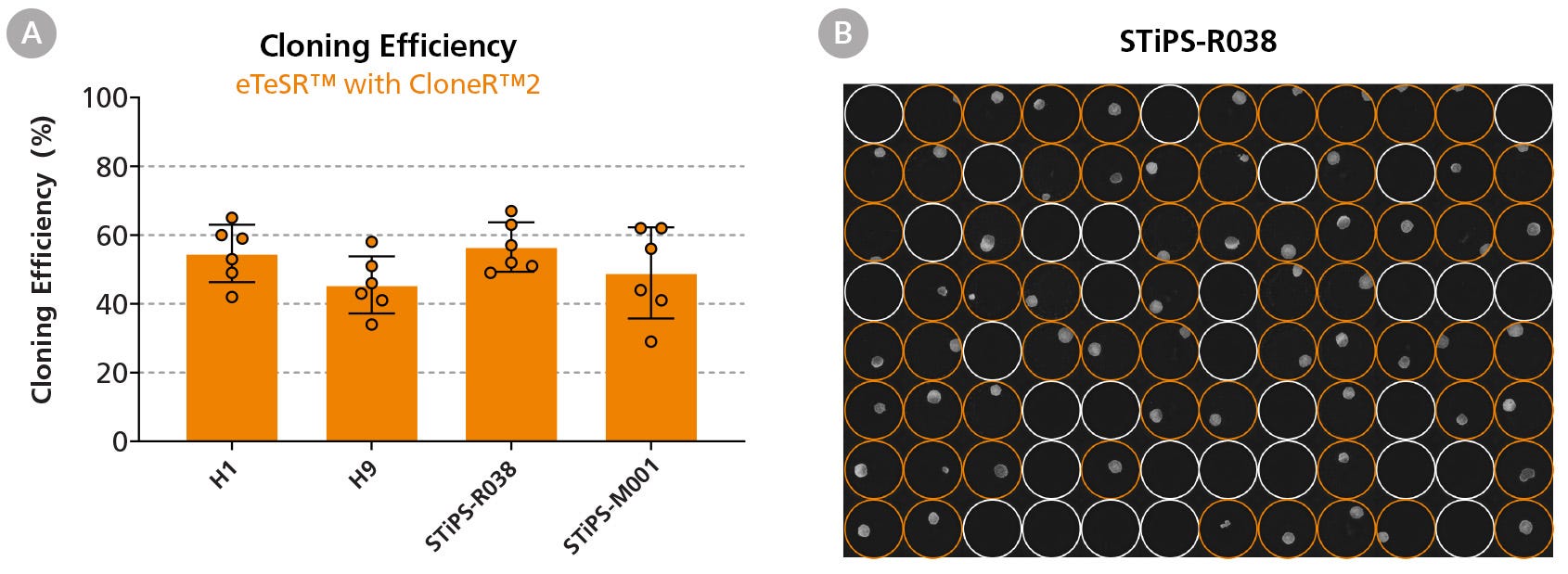 High Cloning Efficiencies Are Achieved Following Single-Cell Deposition Using eTeSR™ Supplemented with CloneR™2