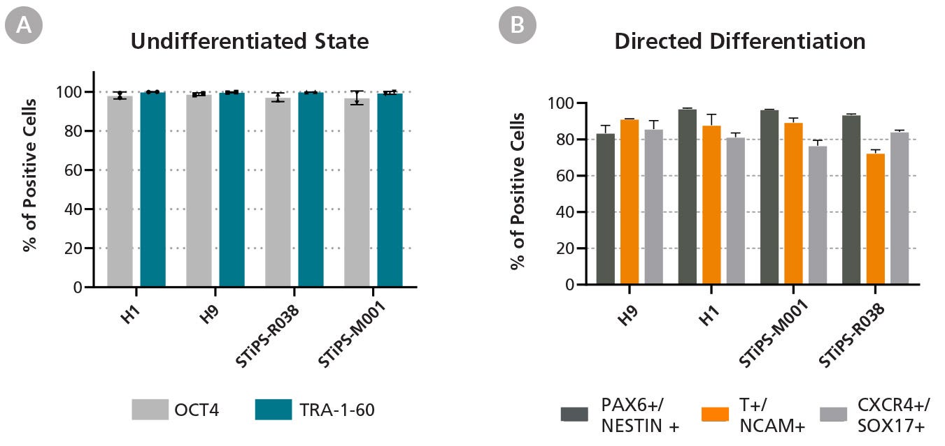 hPSCs Maintained in eTeSR™ Express Markers of the Undifferentiated State and Differentiate Efficiently to Three Germ Layers