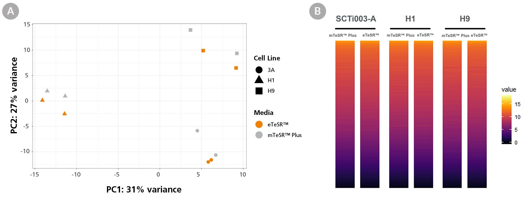 Global Gene Expression Profiles Are Comparable Between eTeSR™ Single-Cell Passaged Cultures and mTeSR™ Plus Aggregate Passaged Cultures