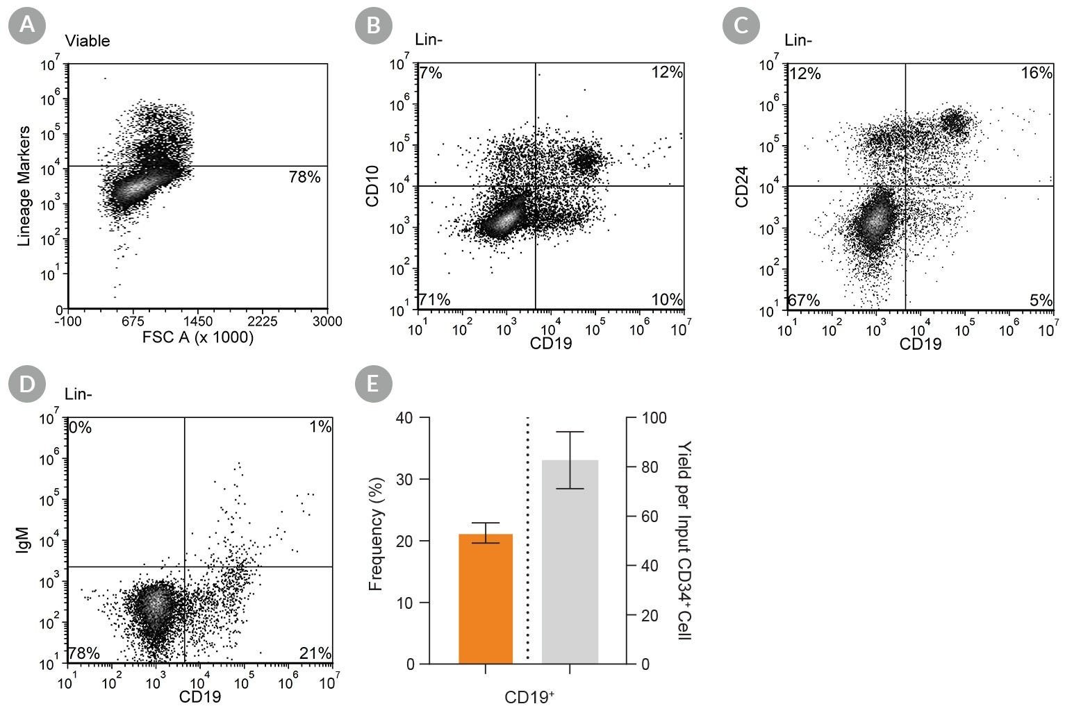 Flow cytometry and bar graphs showing the frequency and yield of CD19+ B cells after 28 days of culture