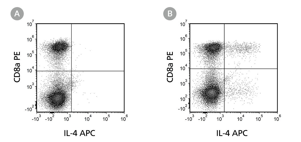 Flow Cytometry Analysis Of Unstimulated And Stimulated Human PBMCs Labeled With Anti-Human CD8a Antibody, Clone RPA-T8, PE