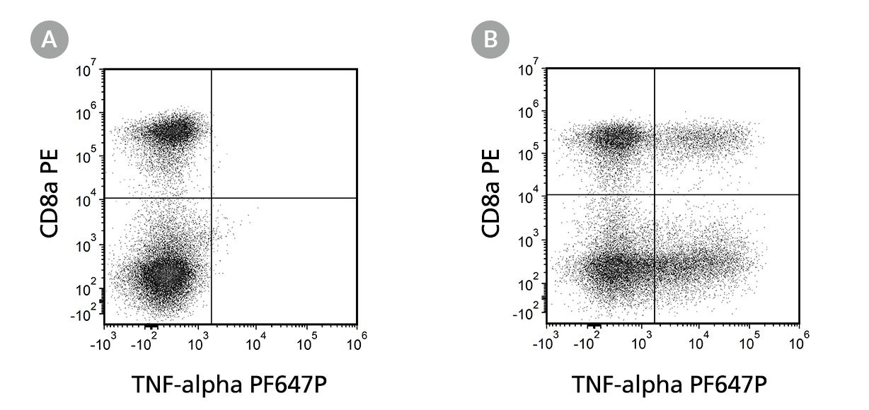 Flow Cytometry Analysis Of Unstimulated And Stimulated Human PBMCs Labeled With Anti-Human TNF-alpha Antibody, Clone MT15B15, PF647P