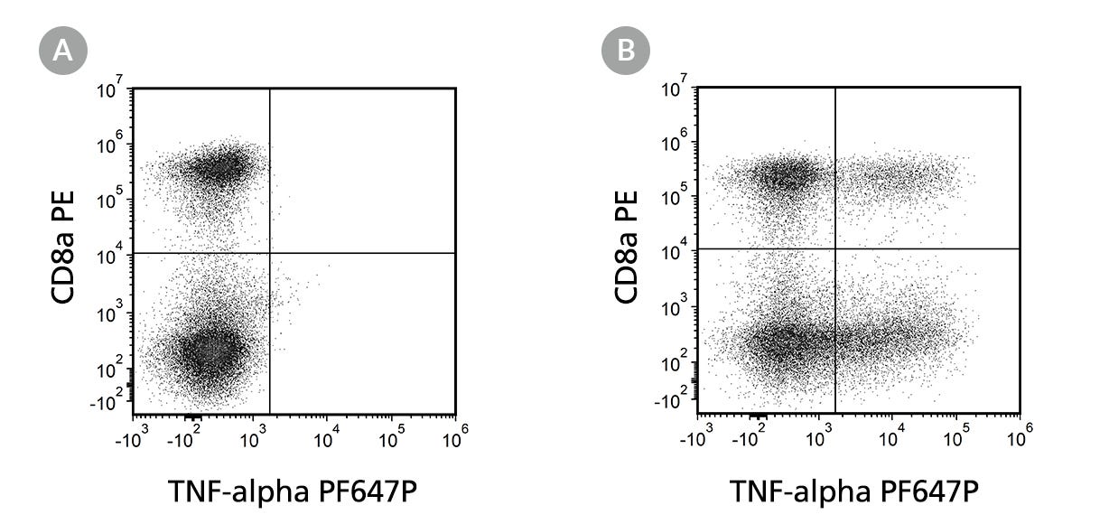 Flow Cytometry Analysis Of Unstimulated And Stimulated Human PBMCs Labeled With Anti-Human TNF-alpha Antibody, Clone MT15B15, PF647P