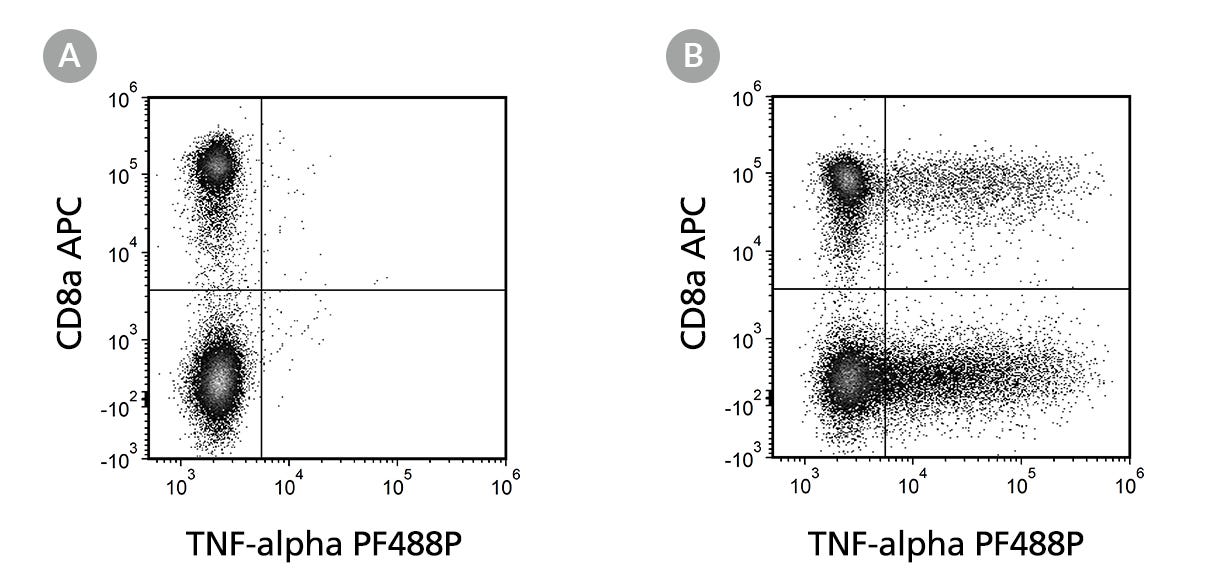 Flow Cytometry Analysis Of Unstimulated And Stimulated Human PBMCs Labeled With Anti-Human TNF-alpha Antibody, Clone MT15B15, PF488P 