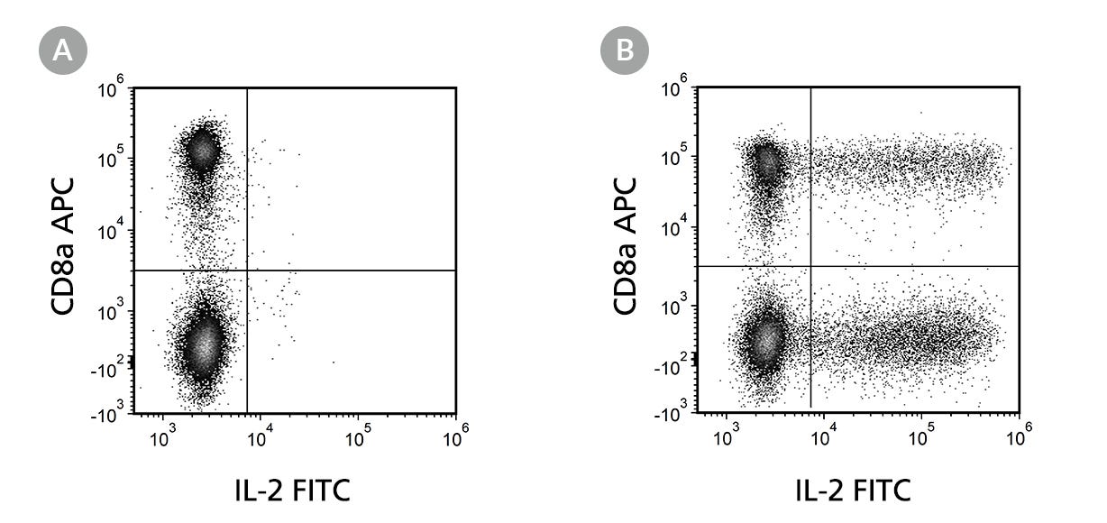 Flow Cytometry Analysis Of Unstimulated And Stimulated Human PBMCs Labeled With Anti-Human IL-2 Antibody, Clone MT8G10 FITC