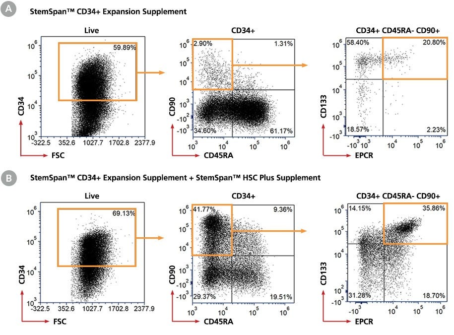 Gating Strategy for Immunophenotype Analysis of Cord Blood-Derived CD34+ Cells Expanded for 7 Days  in StemSpan™ Media with and Without StemSpan™ HSC Plus Supplement
