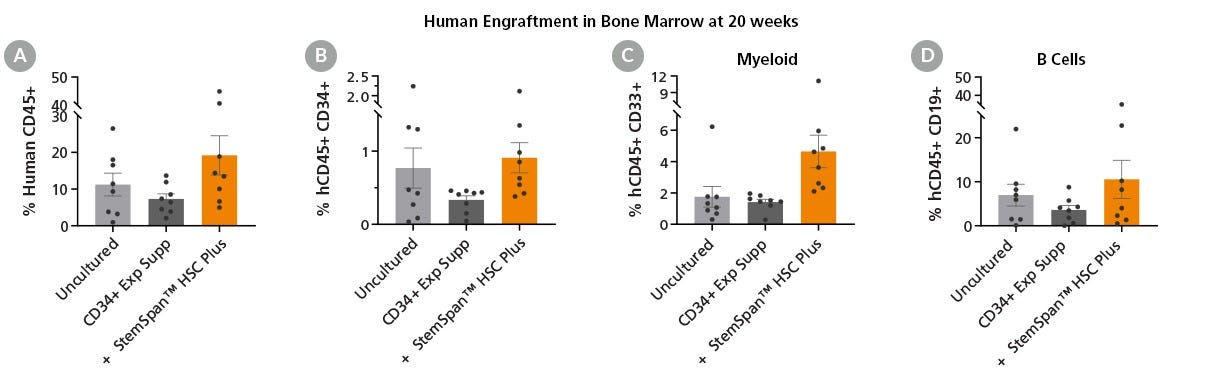 Cord Blood CD34+ Cells Expanded with StemSpan™ HSC Plus Supplement Support Long-Term In Vivo Engraftment in Immunodeficient Mice
