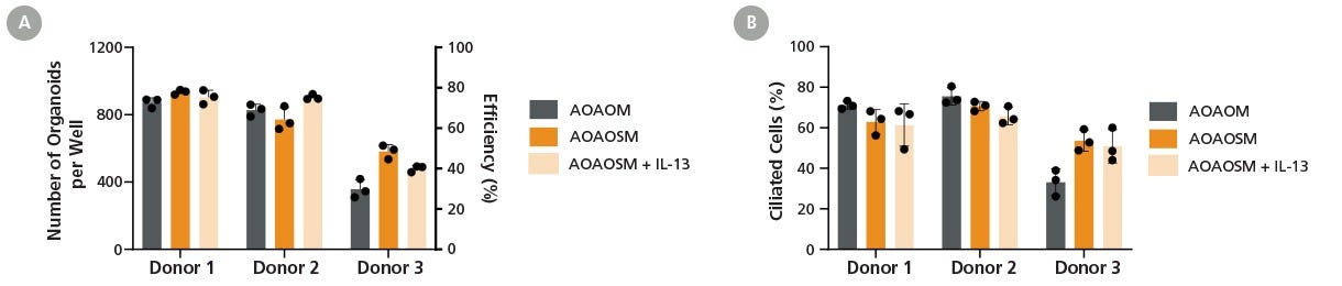 PneumaCult™ Apical-Out Airway Organoid Secretory Medium Supports Efficient Organoid Formation and Robust Ciliogenesis Across Donors