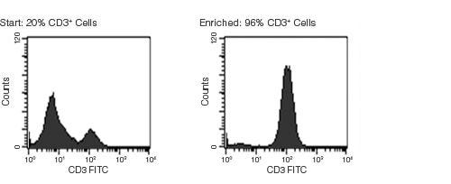 Typical RosetteSep™ HLA T Cell Enrichment Profile