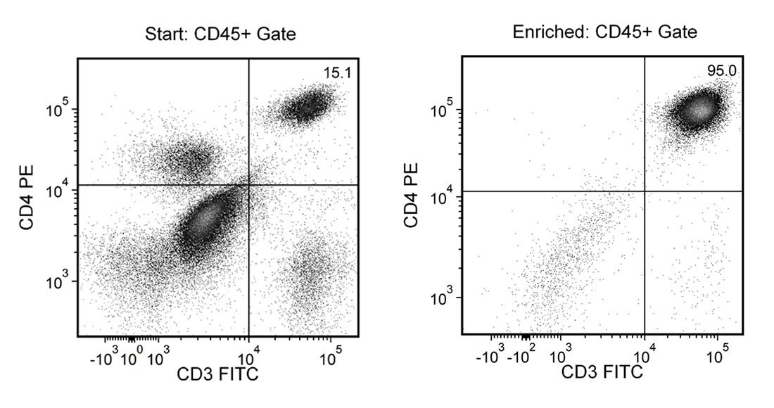 FACS Histogram Results Using RosetteSep™ Human CD4+ T Cell Enrichment Cocktail