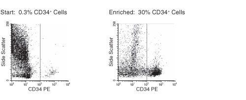 FACS Profile Results With RosetteSep™ Human Cord Blood Progenitor CellEnrichment Kit