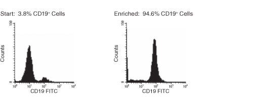 FACS Histogram Results with RosetteSep™ HLA B Cell Enrichment Kit