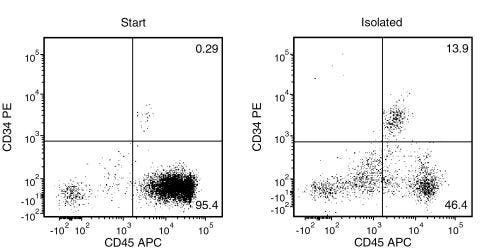 Typical RosetteSep™ Human Progenitor Cell Basic Preenrichment Profile