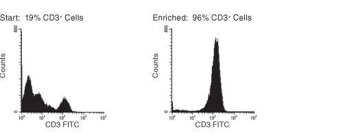 FACS Histogram Results with RosetteSep™ HLA Lymphoid Cell Enrichment Kit