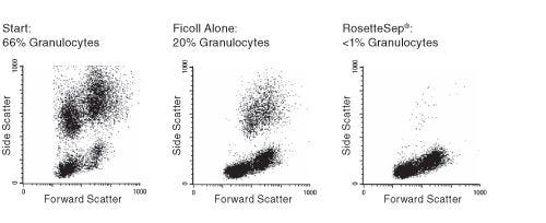 FACS Profile Results Using RosetteSep™ Human Granulocyte Depletion Cocktail