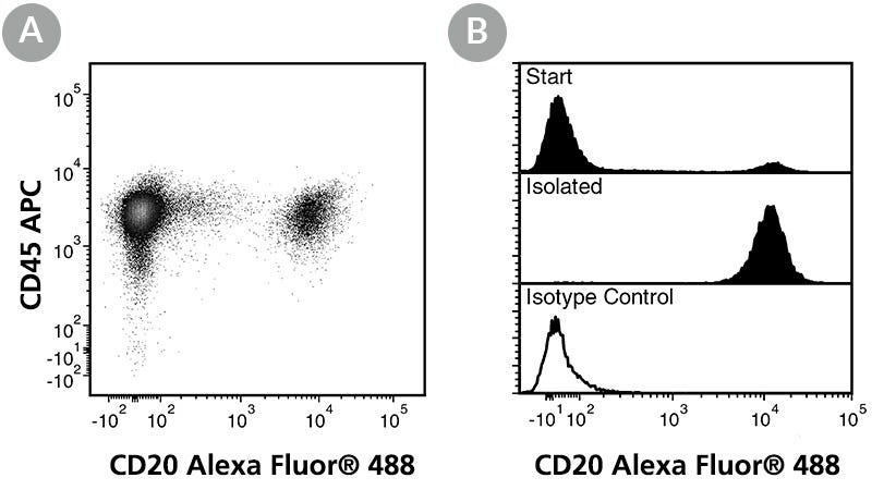 FACS Data for Anti-Human CD20 Antibody, Clone 2H7, Alexa Fluor® 488-Conjugated