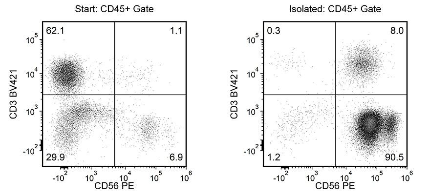 Typical EasySep™ Human CD56 Positive Selection Profile
