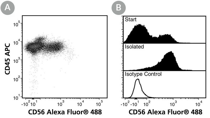 FACS Data for Anti-Human CD56 Antibody, Clone HCD56, Alexa Fluor® 488-Conjugated