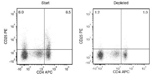 CD25 cell depletion results using EasySep™