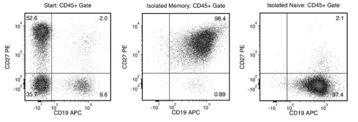 Typical EasySep™ Human Memory B Cell Isolation Profile