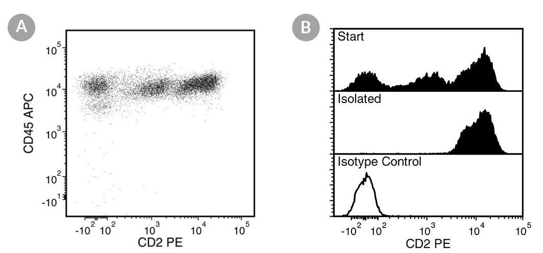 FACS Data for Anti-Human CD2 Antibody, Clone RPA-2.10, PE-Conjugated