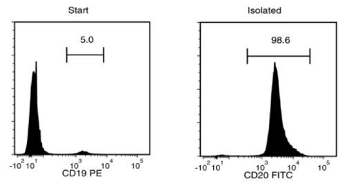 Typical EasySep™ HLA Chimerism Whole Blood CD19 Positive Selection Profile