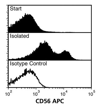 FACS Data for Anti-Human CD56 Antibody, Clone HCD56, APC-Conjugated