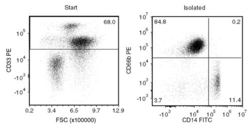 Typical EasySep™ HLA Chimerism Whole Blood CD33 Positive Selection Profile