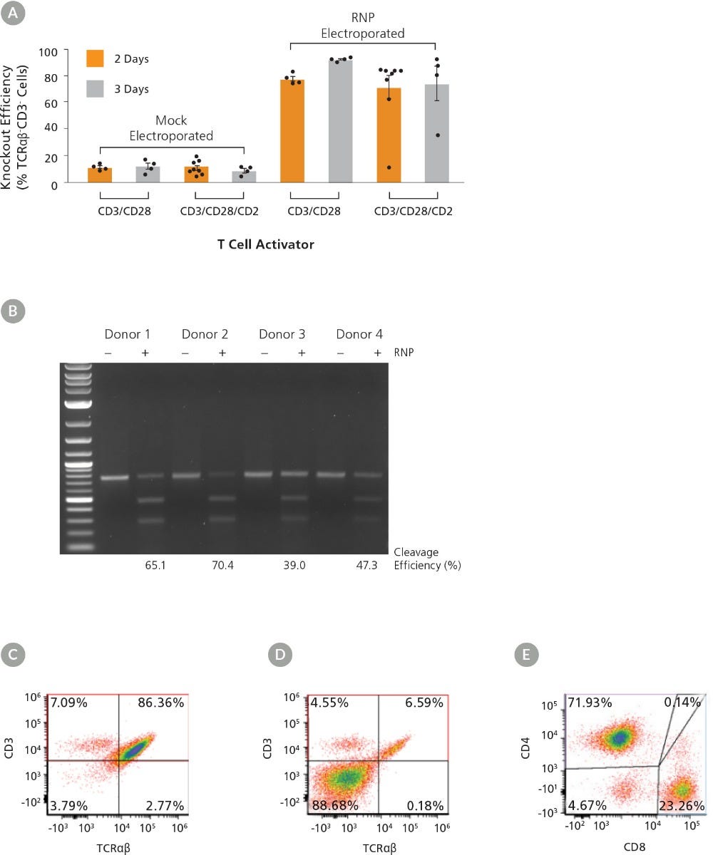 ImmunoCult™ Human T Cell Activators Can Be Used to Optimize Culture Conditions for High-Efficiency TRAC Knockout from Human Primary T Cells