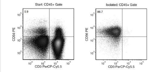 Separation of natural killer cells using EasySep™ Human NK Cell Isolation Kit