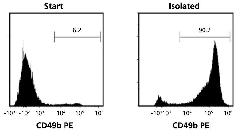 FACS histogram showing highly purified mouse CD49b+ cells following cell isolation with the EasySep™ Mouse CD49b Positive Selection Kit.