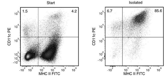 Typical EasySep™ CD11c Positive Selection Profile