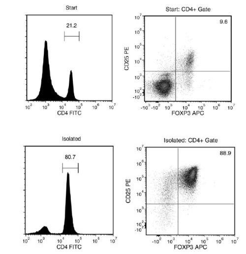 FACS Histogram Results with EasySep™ Mouse CD4+CD25+ Regulatory T Cell Isolation Kit II