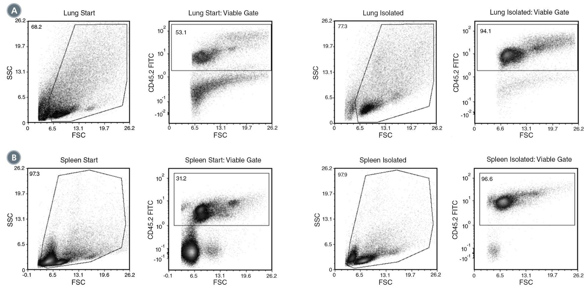 FACS Profile Results with EasySep™ Mouse CD45 Positive Selection Kit