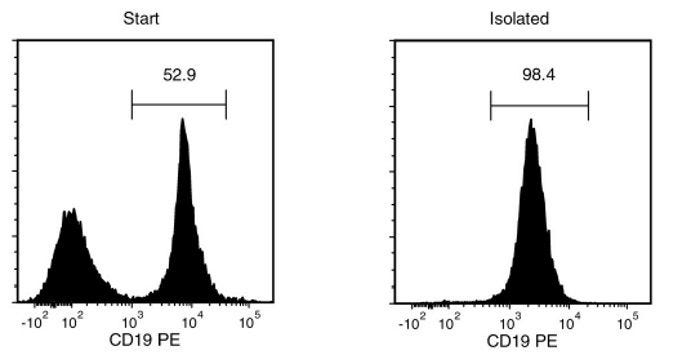 Typical EasySep™ CD19 Positive Selection Profile