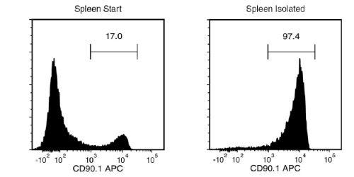 FACS Histogram Results with EasySep™ Mouse CD90.1 Positive Selection Kit