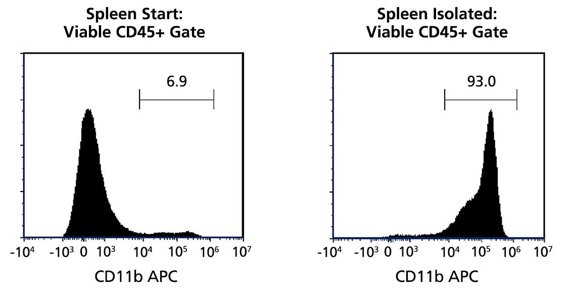 Typical EasySep™ Mouse CD11b Positive Cell Isolation Profile from Mouse Spleen