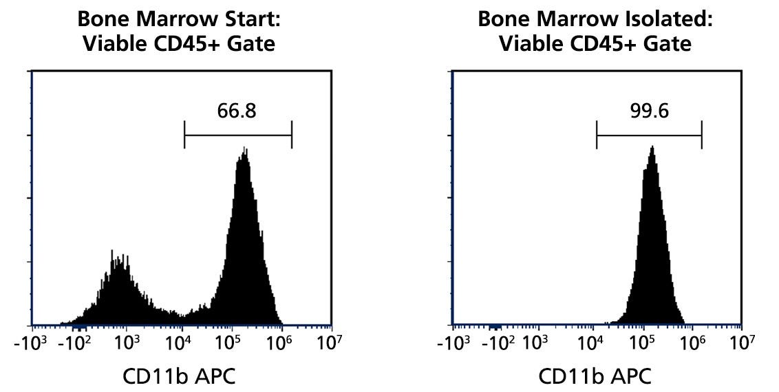 Typical EasySep™ Mouse CD11b Positive Cell Isolation Profile from Mouse Bone Marrow