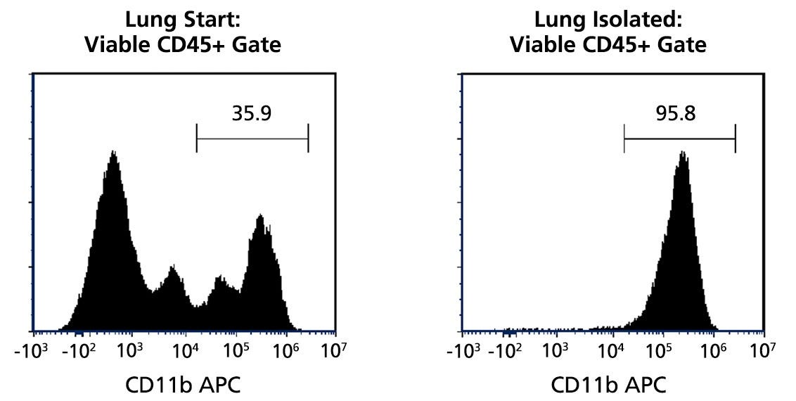 Typical EasySep™ Mouse CD11b Positive Cell Isolation Profile from Lung Tissue