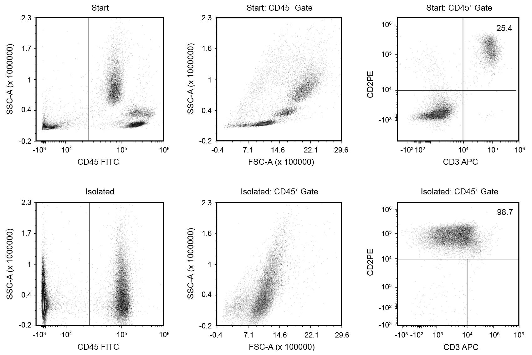 Using the EasySep™ Serology Whole Blood CD3 Positive Selection Kit on human whole blood, the CD19+ purities of the start and final isolated fractions are 25.4% and 98.7%, respectively (gated on CD45+).