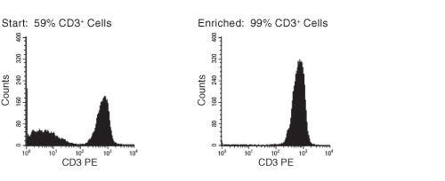 FACS Histogram Results with EasySep™ HLA T Cell Enrichment Kit