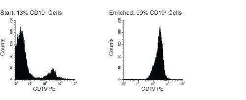 FACS Histogram Results With EasySep™ Human B Cell Enrichment Kit
